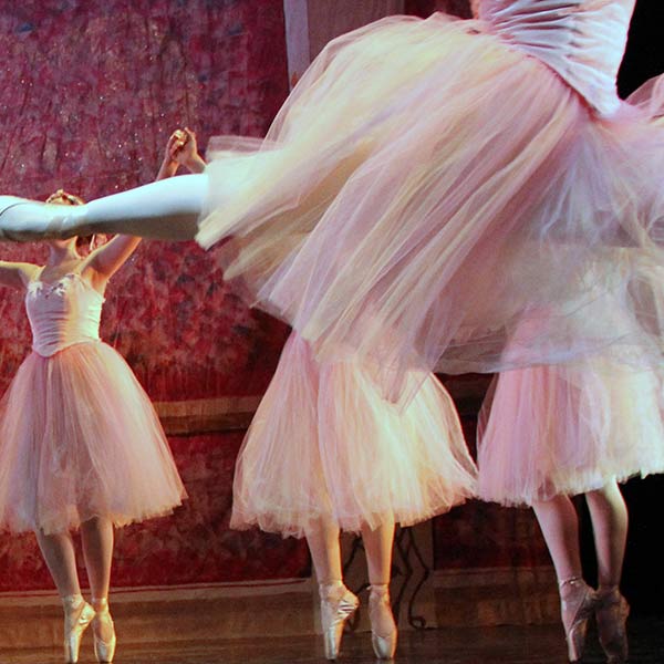 Flowers #1 - Performance ~ The Nutcracker - 2011