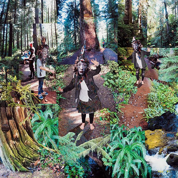 Forest Dwellers - Photo Collage using all photos taken by DAW - Original 30″ x 40″ - Archival prints available - 2019