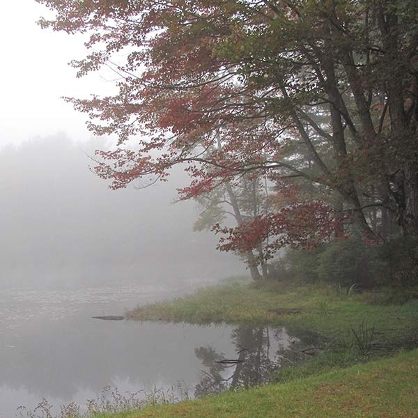 Lake Fog