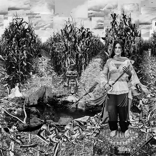 Corn Maze - Photo Collage using all photos taken by DAW - Original 30″ x 40″ - Archival prints available - 2007